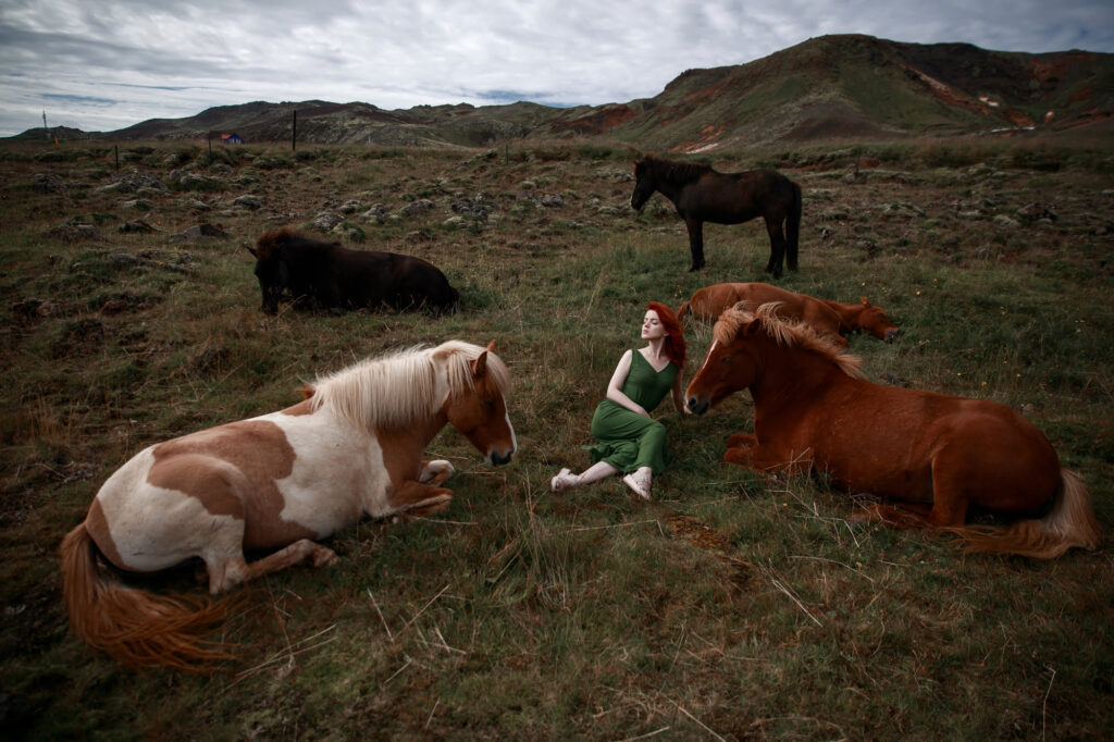 Фотосессия с лошадьми в Исландии